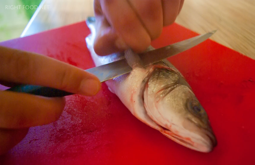 Как чистить рыбу? Как потрошить рыбу? Как удалить жабры у рыбы? Кулинарный блог Вики Лепинг