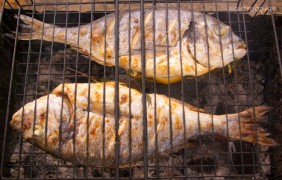 Рыба на мангале