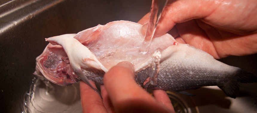 Как чистить рыбу? Как потрошить рыбу? Как удалить жабры у рыбы?